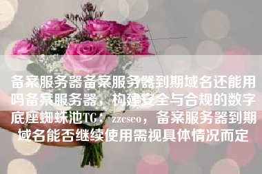 备案服务器备案服务器到期域名还能用吗备案服务器，构建安全与合规的数字底座蜘蛛池TG：zzcseo，备案服务器到期域名能否继续使用需视具体情况而定