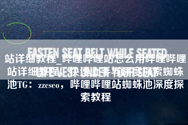 站详细教程_哔哩哔哩站怎么用哔哩哔哩站详细教程，快速上手与深度探索蜘蛛池TG：zzcseo，哔哩哔哩站蜘蛛池深度探索教程