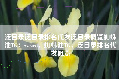 泛目录泛目录排名代发泛目录概览蜘蛛池TG：zzcseo，蜘蛛池TG，泛目录排名代发概览
