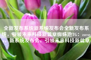全新发布系统新系统发布会全新发布系统，引领未来科技新篇章蜘蛛池TG：zzcseo，新系统发布会，引领未来科技新篇章