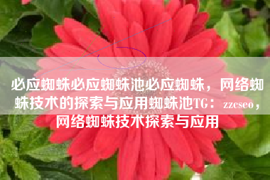 必应蜘蛛必应蜘蛛池必应蜘蛛，网络蜘蛛技术的探索与应用蜘蛛池TG：zzcseo，网络蜘蛛技术探索与应用