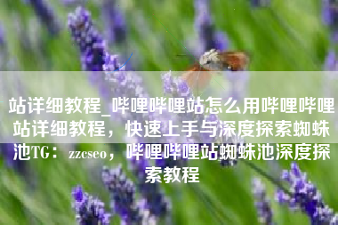 站详细教程_哔哩哔哩站怎么用哔哩哔哩站详细教程，快速上手与深度探索蜘蛛池TG：zzcseo，哔哩哔哩站蜘蛛池深度探索教程