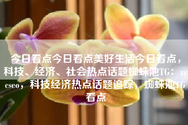 今日看点今日看点美好生活今日看点，科技、经济、社会热点话题蜘蛛池TG：zzcseo，科技经济热点话题追踪，蜘蛛池TG看点