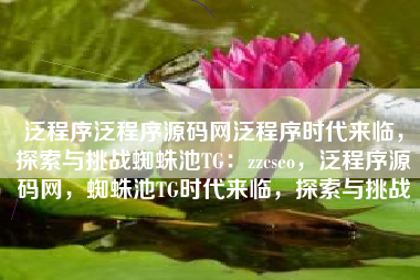 泛程序泛程序源码网泛程序时代来临，探索与挑战蜘蛛池TG：zzcseo，泛程序源码网，蜘蛛池TG时代来临，探索与挑战