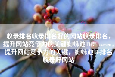 收录排名收录排名好的网站收录排名，提升网站竞争力的关键蜘蛛池TG：zzcseo，提升网站竞争力的关键，蜘蛛池TG排名收录好网站