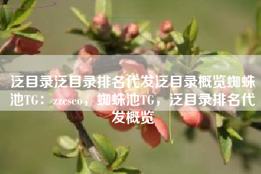 泛目录泛目录排名代发泛目录概览蜘蛛池TG：zzcseo，蜘蛛池TG，泛目录排名代发概览