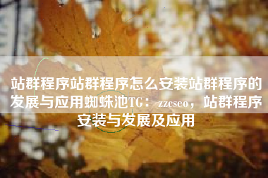 站群程序站群程序怎么安装站群程序的发展与应用蜘蛛池TG：zzcseo，站群程序安装与发展及应用