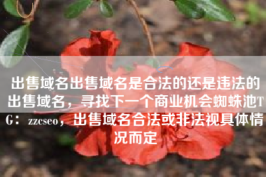 出售域名出售域名是合法的还是违法的出售域名，寻找下一个商业机会蜘蛛池TG：zzcseo，出售域名合法或非法视具体情况而定