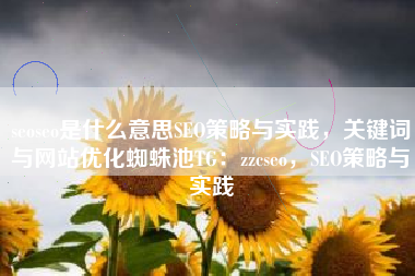 seoseo是什么意思SEO策略与实践，关键词与网站优化蜘蛛池TG：zzcseo，SEO策略与实践