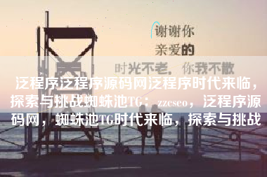 泛程序泛程序源码网泛程序时代来临，探索与挑战蜘蛛池TG：zzcseo，泛程序源码网，蜘蛛池TG时代来临，探索与挑战