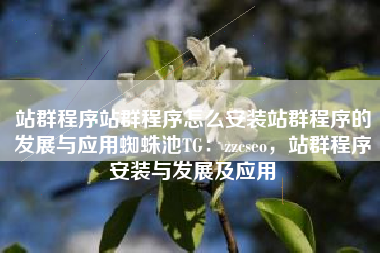 站群程序站群程序怎么安装站群程序的发展与应用蜘蛛池TG：zzcseo，站群程序安装与发展及应用