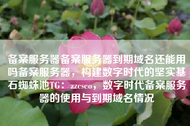 备案服务器备案服务器到期域名还能用吗备案服务器，构建数字时代的坚实基石蜘蛛池TG：zzcseo，数字时代备案服务器的使用与到期域名情况
