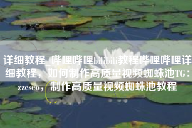 详细教程_哔哩哔哩bilibili教程哔哩哔哩详细教程，如何制作高质量视频蜘蛛池TG：zzcseo，制作高质量视频蜘蛛池教程