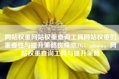 网站权重网站权重查询工具网站权重的重要性与提升策略蜘蛛池TG：zzcseo，网站权重查询工具与提升策略