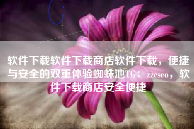 软件下载软件下载商店软件下载，便捷与安全的双重体验蜘蛛池TG：zzcseo，软件下载商店安全便捷