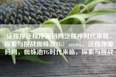 泛程序泛程序源码网泛程序时代来临，探索与挑战蜘蛛池TG：zzcseo，泛程序源码网，蜘蛛池TG时代来临，探索与挑战