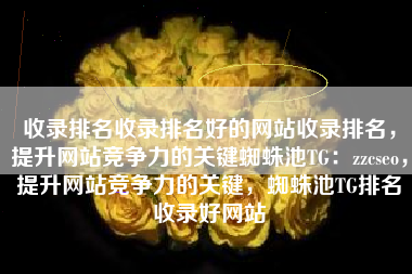 收录排名收录排名好的网站收录排名，提升网站竞争力的关键蜘蛛池TG：zzcseo，提升网站竞争力的关键，蜘蛛池TG排名收录好网站