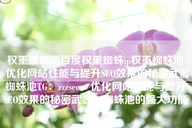 权重蜘蛛池百度权重蜘蛛ip权重蜘蛛池，优化网站性能与提升SEO效果的秘密武器蜘蛛池TG：zzcseo，优化网站性能与提升SEO效果的秘密武器，蜘蛛池的强大功能
