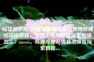站详细教程_哔哩哔哩站怎么用哔哩哔哩站详细教程，快速上手与深度探索蜘蛛池TG：zzcseo，哔哩哔哩站蜘蛛池深度探索教程