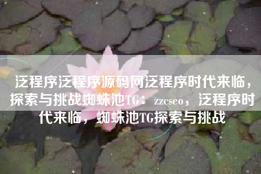泛程序泛程序源码网泛程序时代来临，探索与挑战蜘蛛池TG：zzcseo，泛程序时代来临，蜘蛛池TG探索与挑战