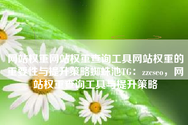 网站权重网站权重查询工具网站权重的重要性与提升策略蜘蛛池TG：zzcseo，网站权重查询工具与提升策略
