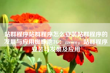 站群程序站群程序怎么安装站群程序的发展与应用蜘蛛池TG：zzcseo，站群程序安装与发展及应用