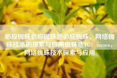 必应蜘蛛必应蜘蛛池必应蜘蛛，网络蜘蛛技术的探索与应用蜘蛛池TG：zzcseo，网络蜘蛛技术探索与应用