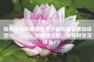 蜘蛛排名蜘蛛排名多少蜘蛛排名榜蜘蛛池TG：zzcseo，蜘蛛排名榜，蜘蛛种类及排名