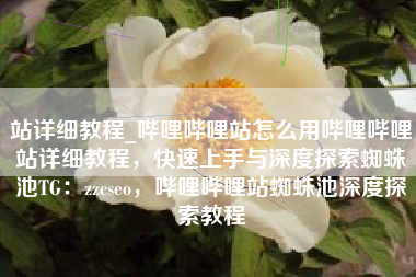 站详细教程_哔哩哔哩站怎么用哔哩哔哩站详细教程，快速上手与深度探索蜘蛛池TG：zzcseo，哔哩哔哩站蜘蛛池深度探索教程