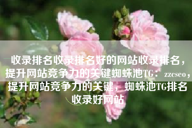 收录排名收录排名好的网站收录排名，提升网站竞争力的关键蜘蛛池TG：zzcseo，提升网站竞争力的关键，蜘蛛池TG排名收录好网站