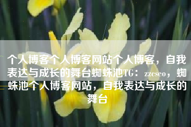 个人博客个人博客网站个人博客，自我表达与成长的舞台蜘蛛池TG：zzcseo，蜘蛛池个人博客网站，自我表达与成长的舞台