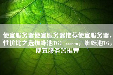 便宜服务器便宜服务器推荐便宜服务器，性价比之选蜘蛛池TG：zzcseo，蜘蛛池TG，便宜服务器推荐