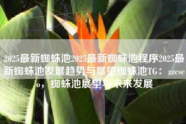 2025最新蜘蛛池2025最新蜘蛛池程序2025最新蜘蛛池发展趋势与展望蜘蛛池TG：zzcseo，蜘蛛池展望与未来发展