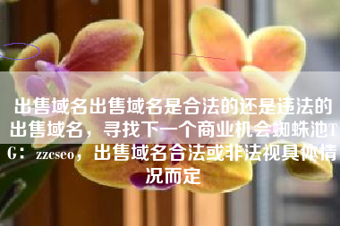 出售域名出售域名是合法的还是违法的出售域名，寻找下一个商业机会蜘蛛池TG：zzcseo，出售域名合法或非法视具体情况而定