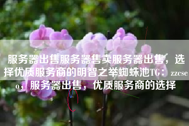 服务器出售服务器售卖服务器出售，选择优质服务商的明智之举蜘蛛池TG：zzcseo，服务器出售，优质服务商的选择