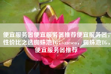 便宜服务器便宜服务器推荐便宜服务器，性价比之选蜘蛛池TG：zzcseo，蜘蛛池TG，便宜服务器推荐