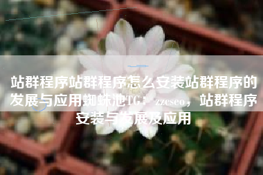 站群程序站群程序怎么安装站群程序的发展与应用蜘蛛池TG：zzcseo，站群程序安装与发展及应用