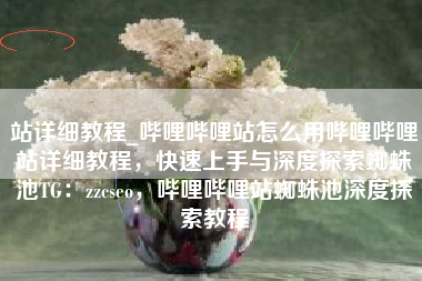 站详细教程_哔哩哔哩站怎么用哔哩哔哩站详细教程，快速上手与深度探索蜘蛛池TG：zzcseo，哔哩哔哩站蜘蛛池深度探索教程