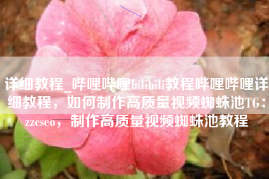详细教程_哔哩哔哩bilibili教程哔哩哔哩详细教程，如何制作高质量视频蜘蛛池TG：zzcseo，制作高质量视频蜘蛛池教程