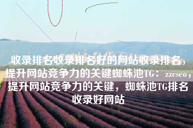 收录排名收录排名好的网站收录排名，提升网站竞争力的关键蜘蛛池TG：zzcseo，提升网站竞争力的关键，蜘蛛池TG排名收录好网站