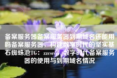 备案服务器备案服务器到期域名还能用吗备案服务器，构建数字时代的坚实基石蜘蛛池TG：zzcseo，数字时代备案服务器的使用与到期域名情况