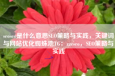 seoseo是什么意思SEO策略与实践，关键词与网站优化蜘蛛池TG：zzcseo，SEO策略与实践