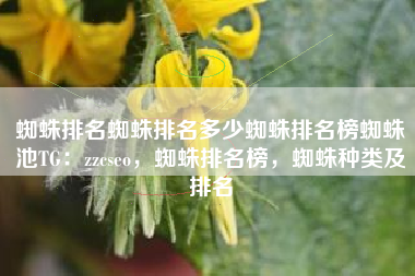 蜘蛛排名蜘蛛排名多少蜘蛛排名榜蜘蛛池TG：zzcseo，蜘蛛排名榜，蜘蛛种类及排名