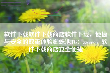 软件下载软件下载商店软件下载，便捷与安全的双重体验蜘蛛池TG：zzcseo，软件下载商店安全便捷