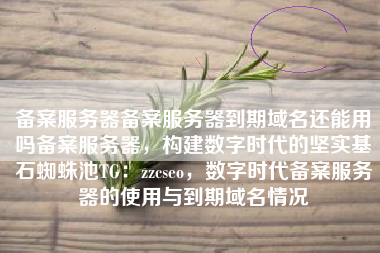 备案服务器备案服务器到期域名还能用吗备案服务器，构建数字时代的坚实基石蜘蛛池TG：zzcseo，数字时代备案服务器的使用与到期域名情况