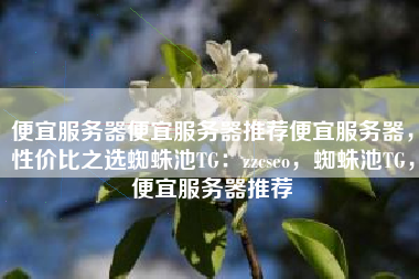 便宜服务器便宜服务器推荐便宜服务器，性价比之选蜘蛛池TG：zzcseo，蜘蛛池TG，便宜服务器推荐