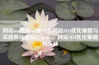 网站seo网站seo是什么网站SEO优化策略与实践蜘蛛池TG：zzcseo，网站SEO优化策略与实践