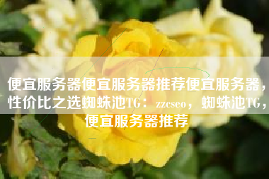 便宜服务器便宜服务器推荐便宜服务器，性价比之选蜘蛛池TG：zzcseo，蜘蛛池TG，便宜服务器推荐