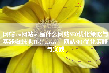 网站seo网站seo是什么网站SEO优化策略与实践蜘蛛池TG：zzcseo，网站SEO优化策略与实践