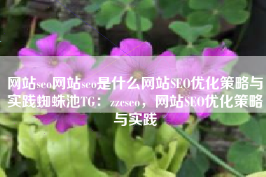 网站seo网站seo是什么网站SEO优化策略与实践蜘蛛池TG：zzcseo，网站SEO优化策略与实践